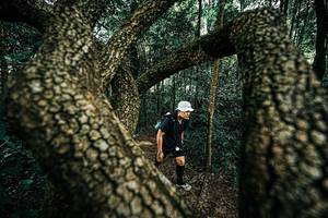 BIB: 
                            <button type="button" onclick="openModal(25394230)" class="btn btn-primary btn-sm float-right btn-popup" data-toggle="modal" data-target=".modal-high-quality">
                        <i class="fas fa-shopping-cart"></i> Add to Cart
                    </button>
                                            <button type="button" onclick="isThisMe(25394230, true)" class="btn btn-success btn-sm float-right btn-popup btn-isme hidden" data-toggle="tooltip" data-placement="bottom" title="นี่คือรูปของคุณใช่ไหม คลิกที่นี่เพื่อเอาเข้าอัลบั้ม">
                        <i class="fas fa-plus"></i> Add to album
                    </button>
                    <button type="button" onclick="isThisMe(25394230, false)" class="btn btn-warning btn-sm float-right btn-popup btn-isnotme hidden">
                        <i class="fas fa-ban"></i> Remove from album
                    </button>